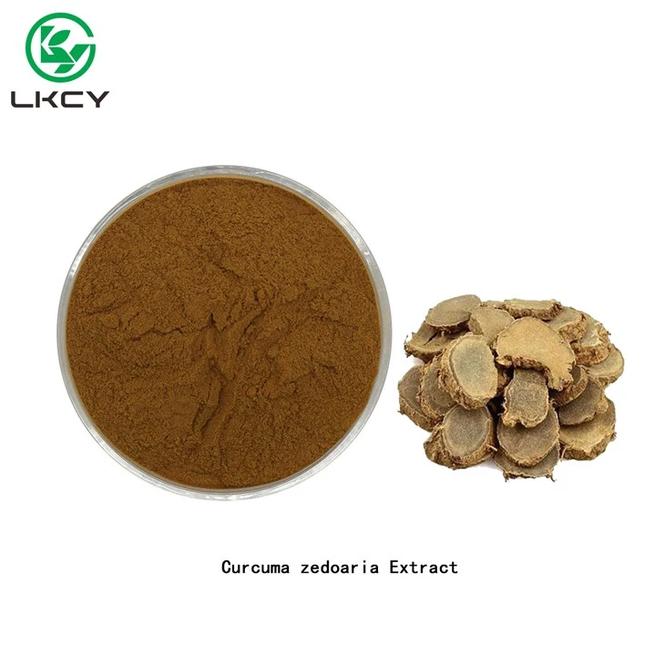 Chiết xuất Curcuma Zedoaria