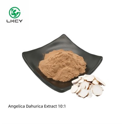 Chiết xuất Angelica Dahurica